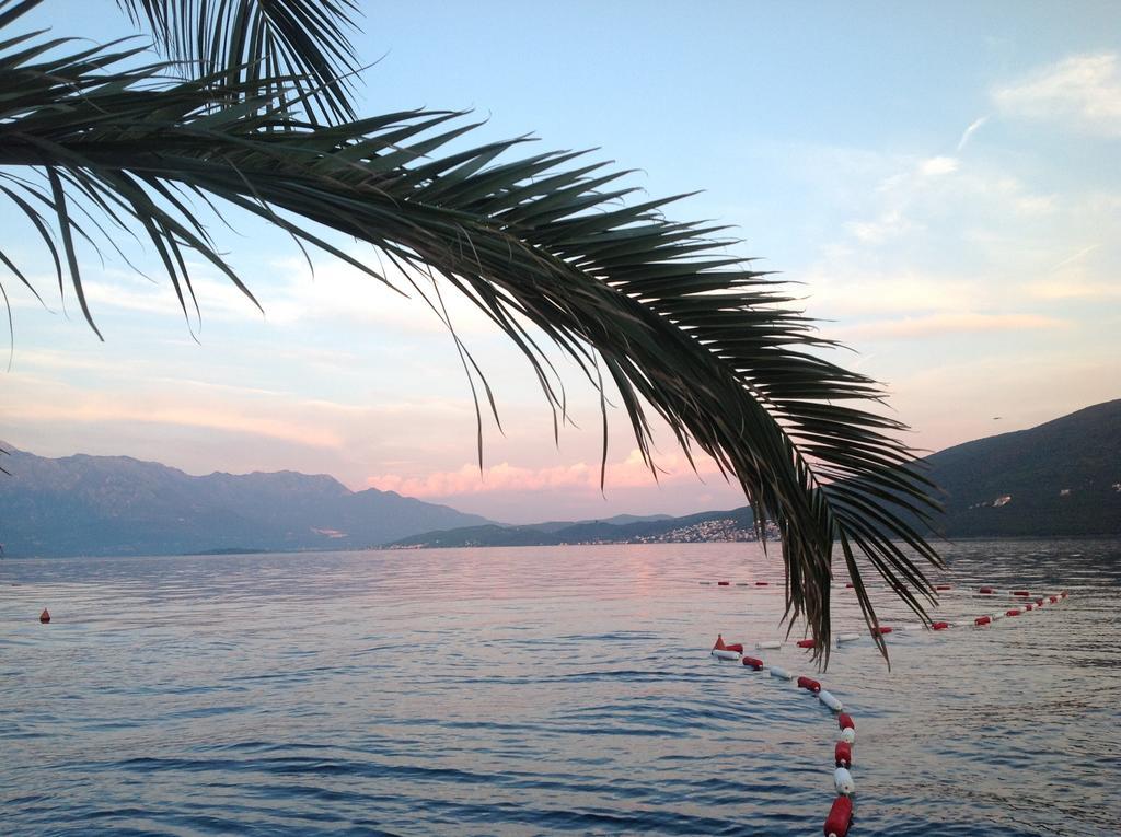Villa Alla Bed&Breakfast Herceg Novi Exteriör bild